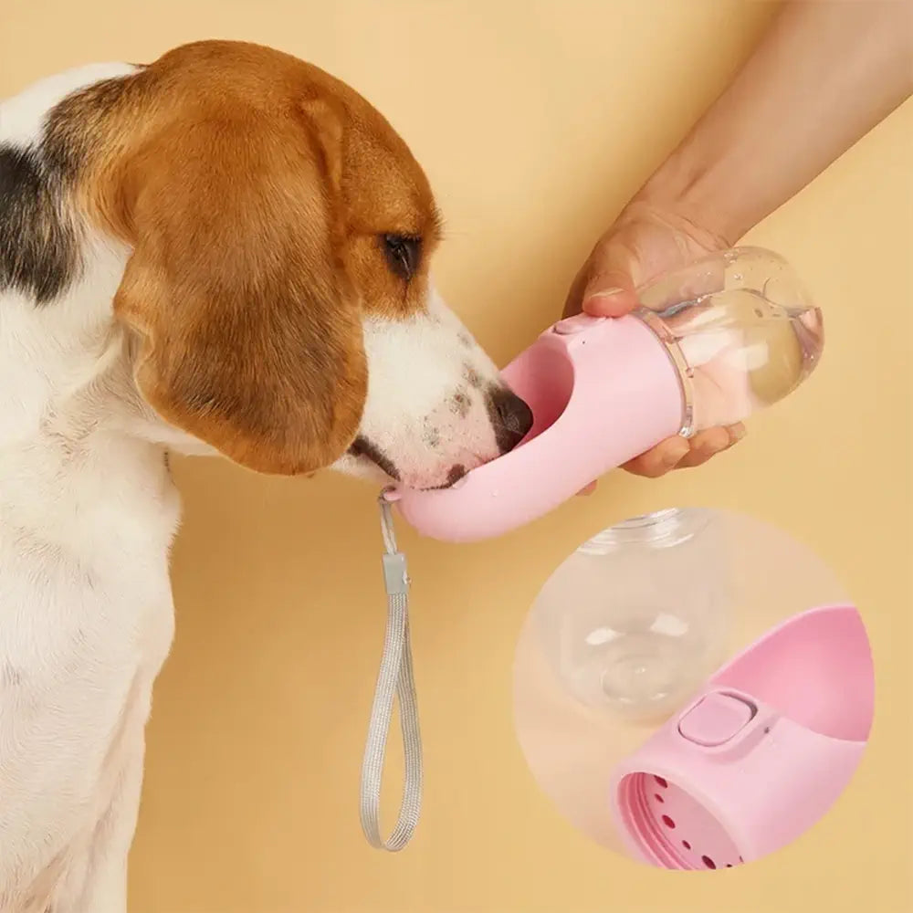 Stylische Hundetrinkflasche für unterwegs